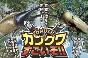 ���T���̐V���C�x���g���y11/18(�y)�E19��(��)�J�Áz�̉摜9