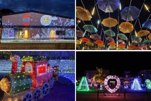 V ~̃C~l[VW 2024-2025̉摜22