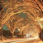 �V�� �~�̃C���~�l�[�V�������W 2025-2026�̉摜9