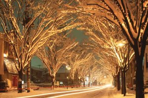 V ~̃C~l[VW 2024-2025̉摜3