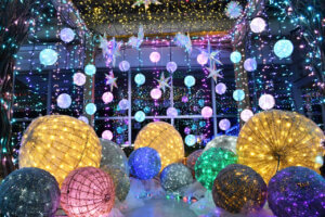 V ~̃C~l[VW 2024-2025̃C摜