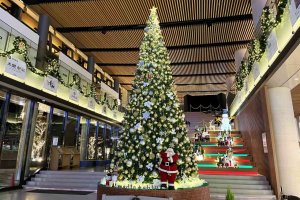 V ~̃C~l[VW 2024-2025̉摜5