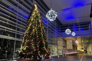 V ~̃C~l[VW 2024-2025̉摜6