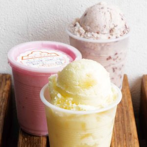 ���K���F��I�V����4��_�Ё��������X�|�b�g���߂���u��l�̊J�^���v�b�ܐ�҂̉摜9