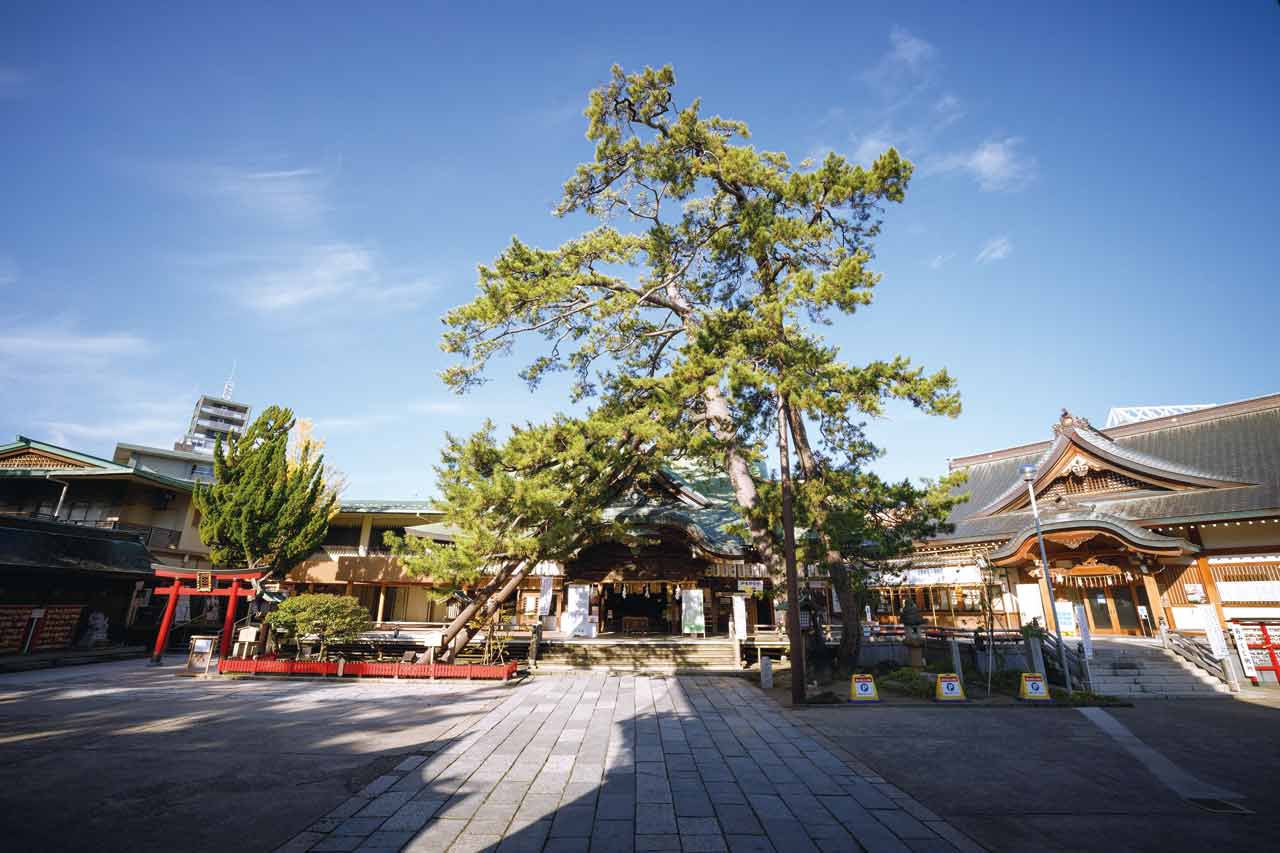 多幸を祈願！新潟の4大神社＆立ち寄りスポットをめぐる「大人の開運旅