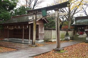 2025�b�J�^�Ɍ����I�V���̐_�Ё�����15�I�̉摜19