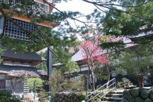 2025�b�J�^�Ɍ����I�V���̐_�Ё�����15�I�̉摜22