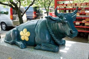 2025�b�J�^�Ɍ����I�V���̐_�Ё�����15�I�̉摜7