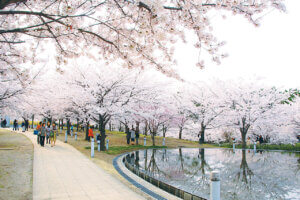 2025bVEzGA lC̍EԌX|bg ԁ 41Ỉ摜4