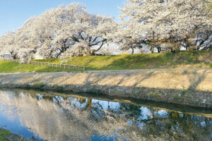 2025bVEzGA lC̍EԌX|bg ԁ 41Ỉ摜12