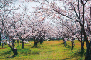 �����ɍs����V���C�x���g���b4/1(��)�`5(��)�̉摜10