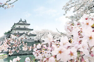 2025bVEzGA lC̍EԌX|bg ԁ 41Ỉ摜18