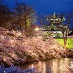 2025�b�V���̂��Ԍ��E���X�|�b�g50�I�@�������C�x���g�����̉摜43