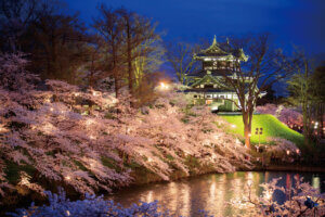 2025bV̂ԌEX|bg50I@Cxg̉摜43