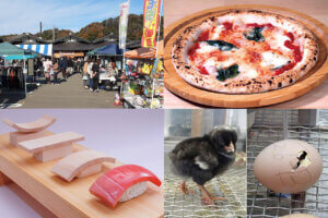 �����ɍs����V���C�x���g���b4/1(��)�`5(��)�̃��C���摜