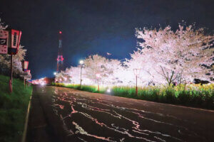 �����ɍs����V���C�x���g���b4/1(��)�`5(��)�̉摜8