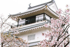 �����ɍs����V���C�x���g���b4/15(��)�`19(��)�̉摜9