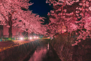 �����ɍs����V���C�x���g���b4/15(��)�`19(��)�̉摜10