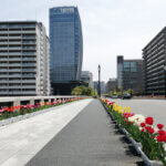 ɍsVCxgb4/15()`19()̉摜3