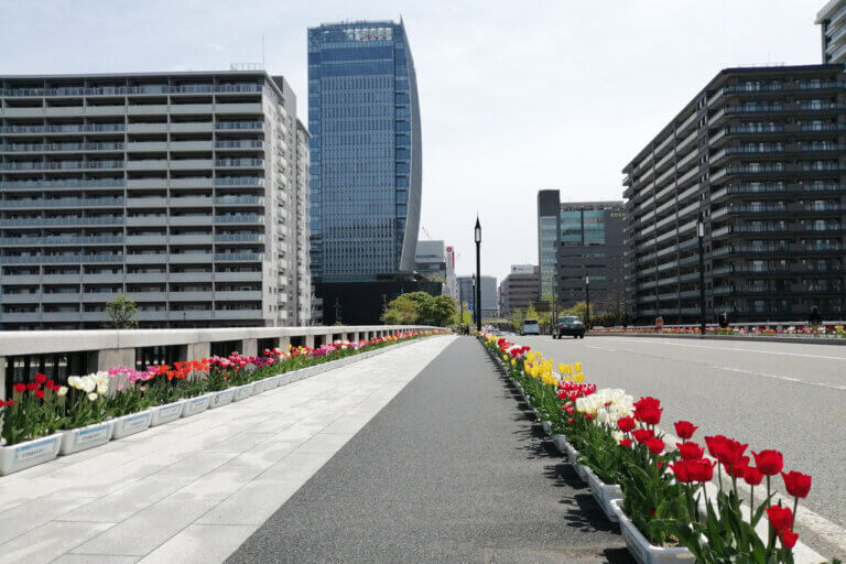 ɍsVCxgb4/15()`19()̉摜3