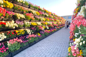 �����ɍs����V���C�x���g���b4/15(��)�`19(��)�̉摜7