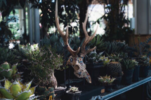 ���T���̐V���C�x���g���b4/20(�y)�E21(��)�J�Ẩ摜4