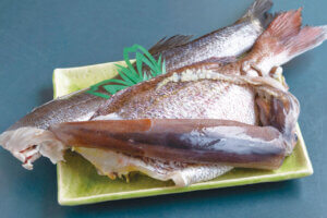 VȂł͂ґI`Ŋy߂uCNv12Ỉ摜13