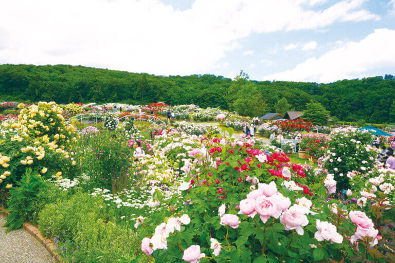 �Ƒ��ŉ߂������Ԃ������ƖL���ɁB�uFamily Komachi�v�̉摜11