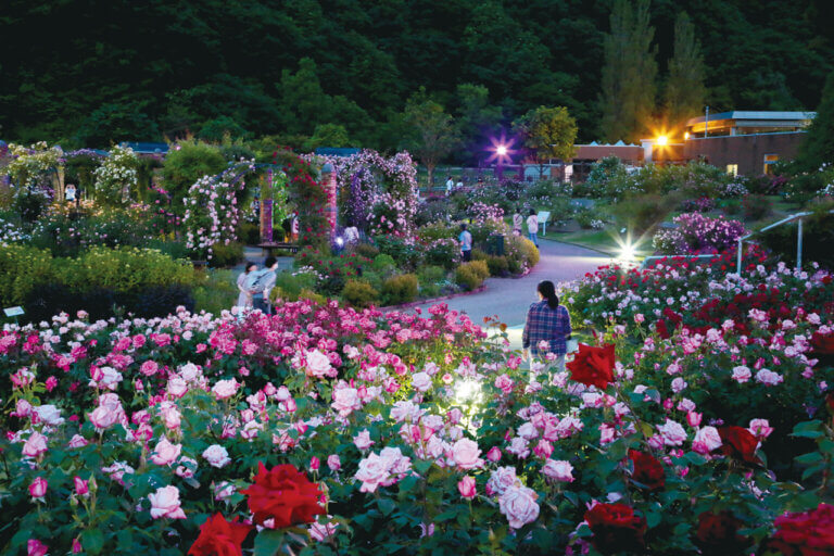 �Ƒ��ŉ߂������Ԃ������ƖL���ɁB�uFamily Komachi�v�̉摜13