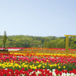 �Ƒ��ŉ߂������Ԃ������ƖL���ɁB�uFamily Komachi�v�̉摜16