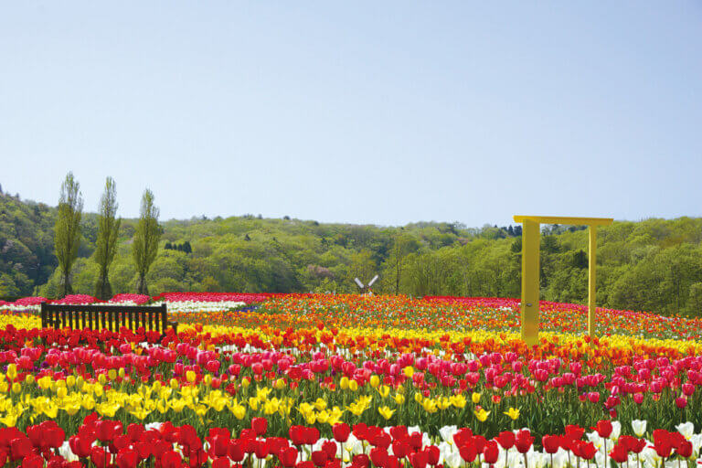 �Ƒ��ŉ߂������Ԃ������ƖL���ɁB�uFamily Komachi�v�̉摜16