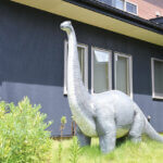 �Ƒ��ŉ߂������Ԃ������ƖL���ɁB�uFamily Komachi�v�̉摜39