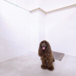 �Ƒ��ŉ߂������Ԃ������ƖL���ɁB�uFamily Komachi�v�̉摜49