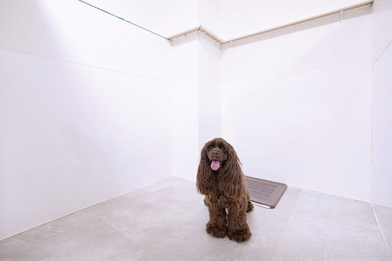 �Ƒ��ŉ߂������Ԃ������ƖL���ɁB�uFamily Komachi�v�̉摜49