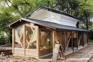 VȂł͂ґI`Ŋy߂uCNv12Ỉ摜33