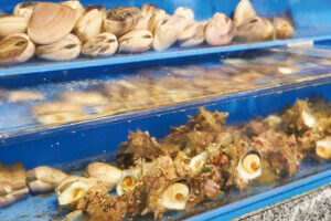 VȂł͂ґI`Ŋy߂uCNv12Ỉ摜4