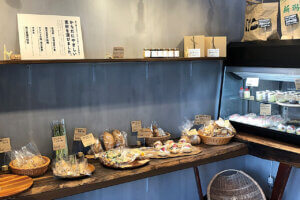 �����ӂ��b��X�������I �V���́gNEWS�h�ȃx�[�J���[6���̉摜25