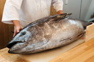 VȂł͂ґI`Ŋy߂uCNv12Ỉ摜26