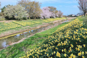 �V�Ð�قƂ�̃X�C�Z���~���������I�������̐�i�R���{�͕K���̉摜2