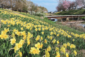 �V�Ð�قƂ�̃X�C�Z���~���������I�������̐�i�R���{�͕K���̉摜3