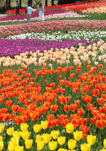 �ӂ邳�Ƒ��Ɂu�����q����̉Ɓv�I�[�v���I �����q����O�b�Y���o���p�l����W���̉摜8