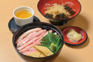 VȂł͂ґI`Ŋy߂uCNv12Ỉ摜28