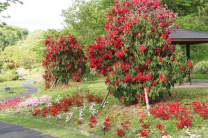 2024bGWɂ߁I V̉ԃX|bg12Ỉ摜12