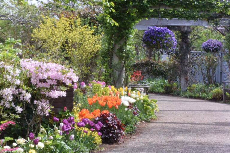 2024�bGW�㔼�̐V���C�x���g��� 5/3(�ॏj)�`6(����j)�̉摜30