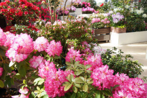 �����ɍs����V���C�x���g���b4/22(��)�`26(��)�̉摜5