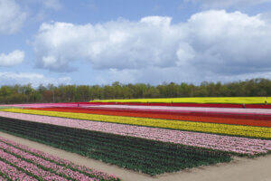 2024bGWɂ߁I V̉ԃX|bg12Ỉ摜2