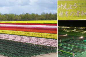 �����ɍs����V���C�x���g���b4/22(��)�`26(��)�̉摜7