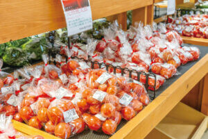 ����ɂ���_�Ƃ̒������u�Ƃ�Ƃ�s�� ����X�v�����j���[�A���I �y�؁A�N���R�[�i�[�g��ł��֗��ɂ̉摜4