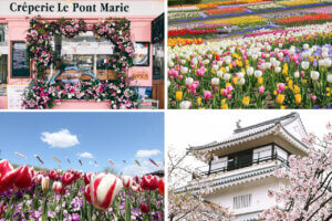 �����ɍs����V���C�x���g���b4/15(��)�`19(��)�̃��C���摜