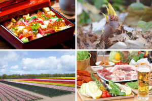 �����ɍs����V���C�x���g���b4/22(��)�`26(��)�̃��C���摜